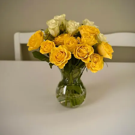 Skeldergate View Appartement